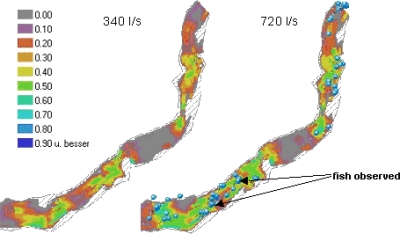 picture of fish habitat simulation using casimir