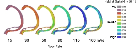 picture of fish habitat simulation using casimir